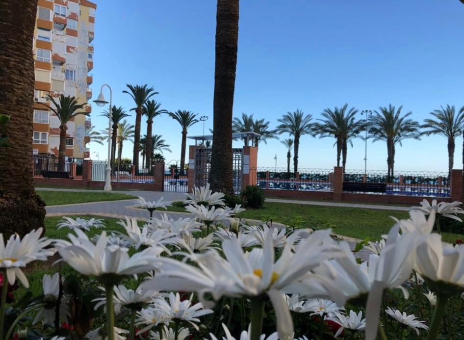 Bow Sea Apartment ألغاروبو - كوستا المظهر الخارجي الصورة